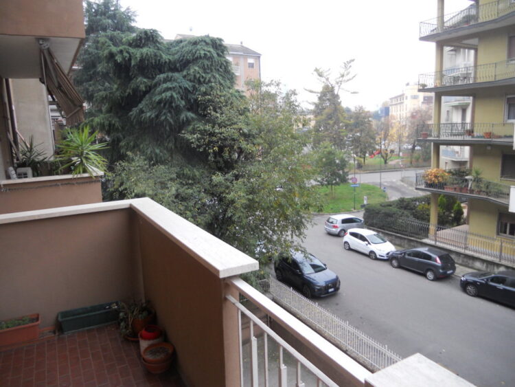 DSCN7434 (FILEminimizer) 1787845202 gallery 750x563